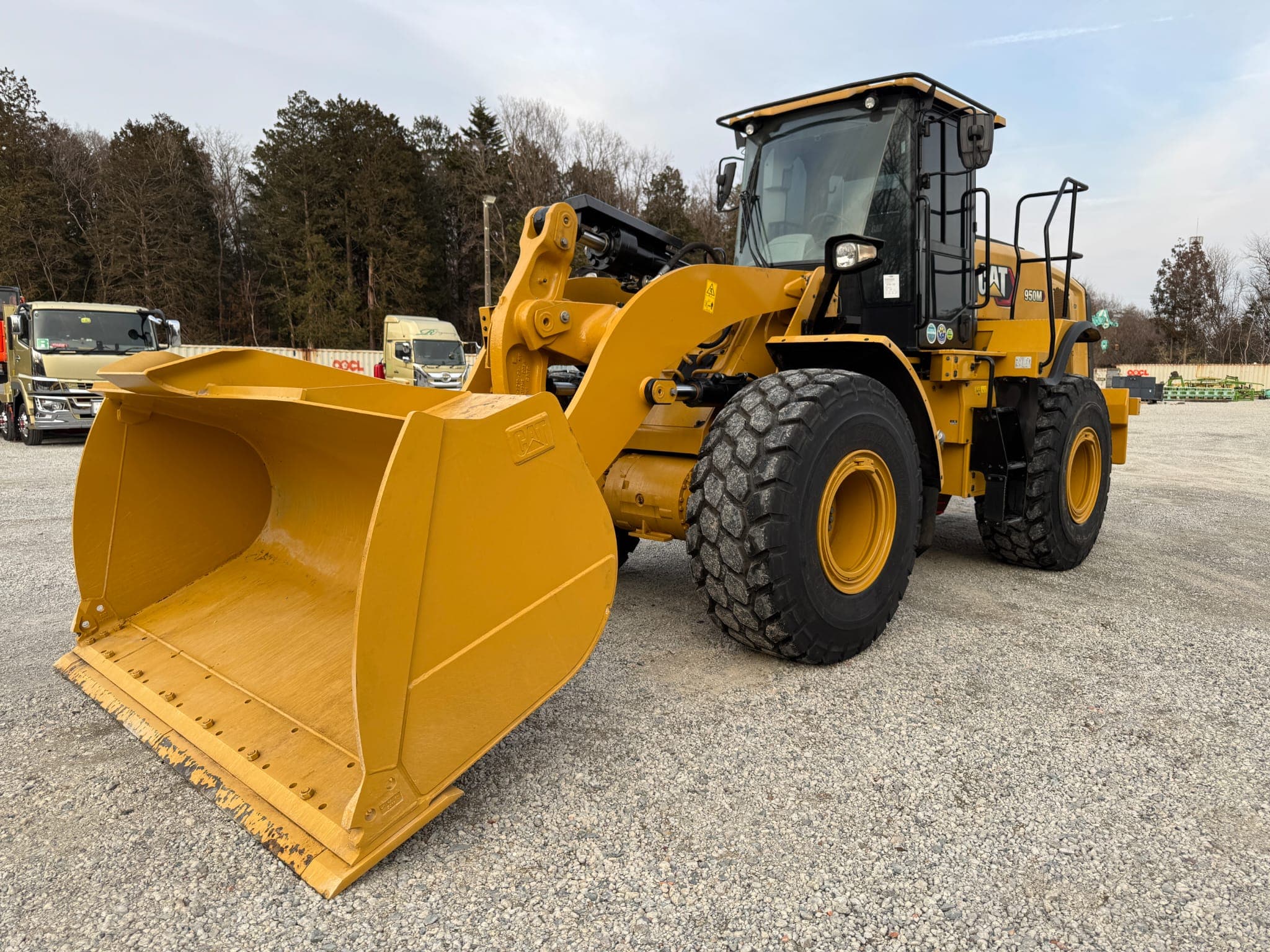 95f90bc6-1c97-414b-bc0b-85f596f1cd50